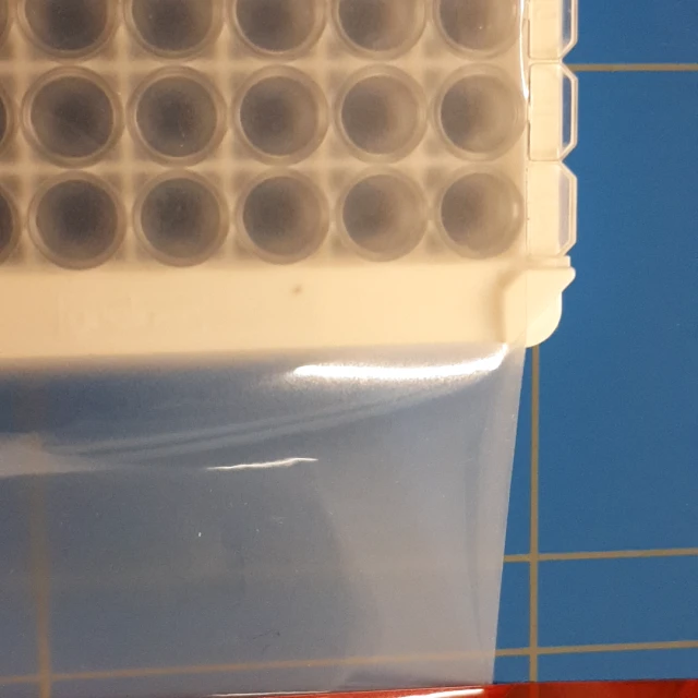 96 well plate in bag on cutting mat