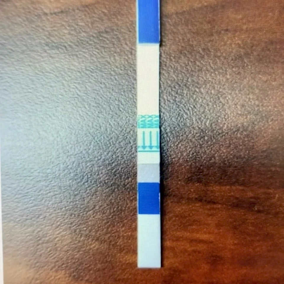 Lateral flow test strip on wood