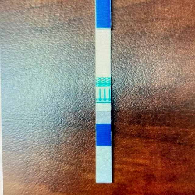 Lateral flow test strip on wood