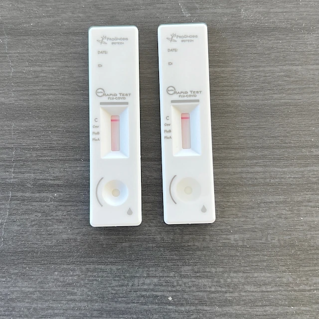 Pair of rapid test cassettes top view