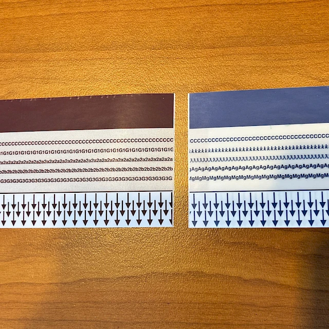 Printed arrow scale strips red and blue on table