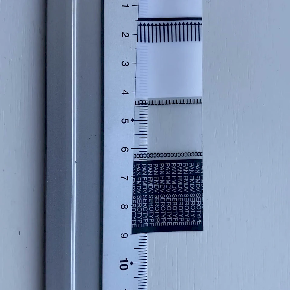 Printed scale tape sample beside steel ruler