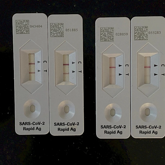SARS-CoV-2 antigen test cassettes in two pairs