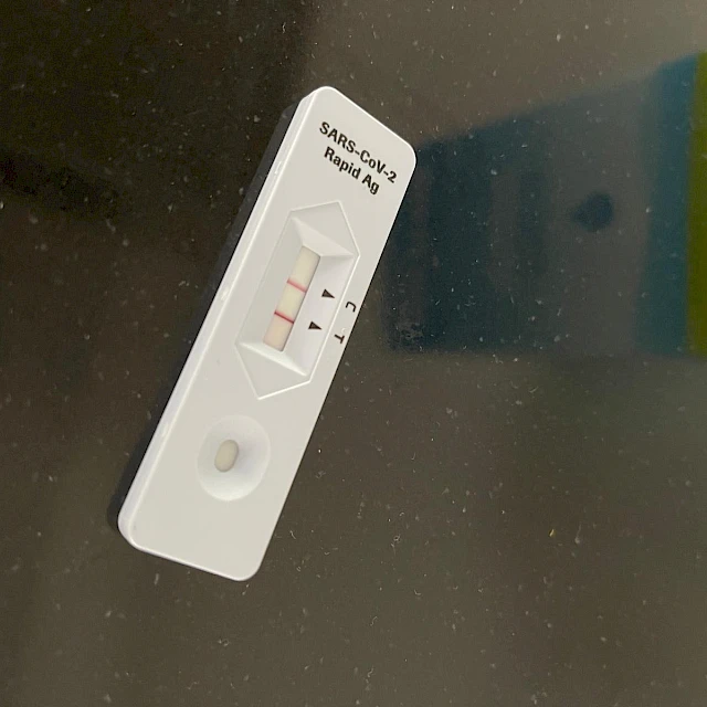 SARS-CoV-2 rapid antigen test cassette