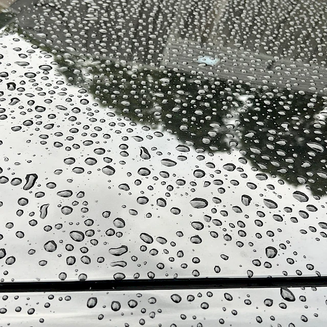 Water droplets on black car bonnet