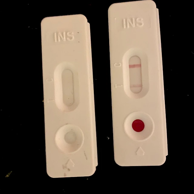 White ins test cassettes with red sample dot