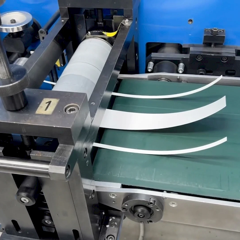 White strips exiting cutter onto green conveyor