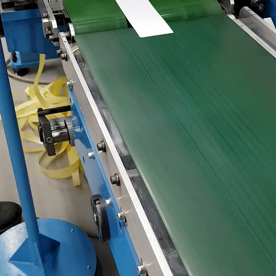White strips on green conveyor into collection bin