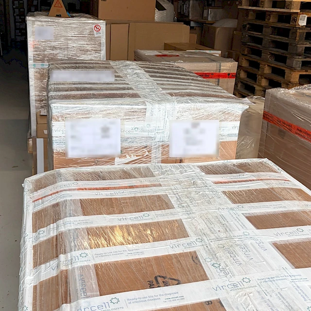 Wrapped pallets lined up in warehouse